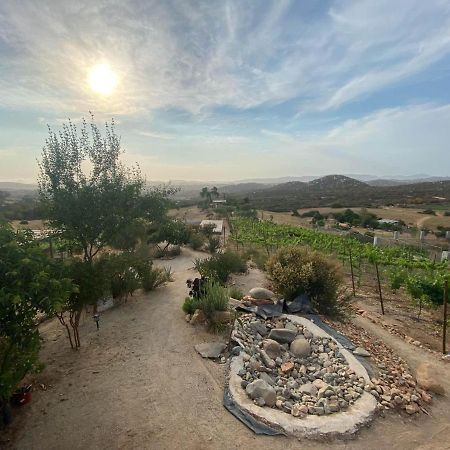 Chalet Nativo - Fabulous Terrace & Vineyard Valle de Guadalupe Exterior photo