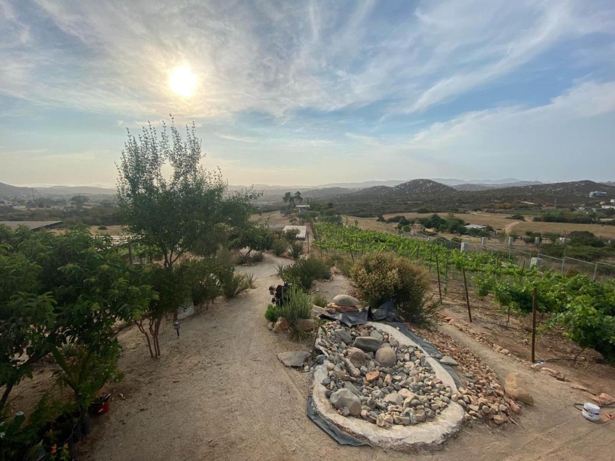 Chalet Nativo - Fabulous Terrace & Vineyard Valle de Guadalupe Exterior photo