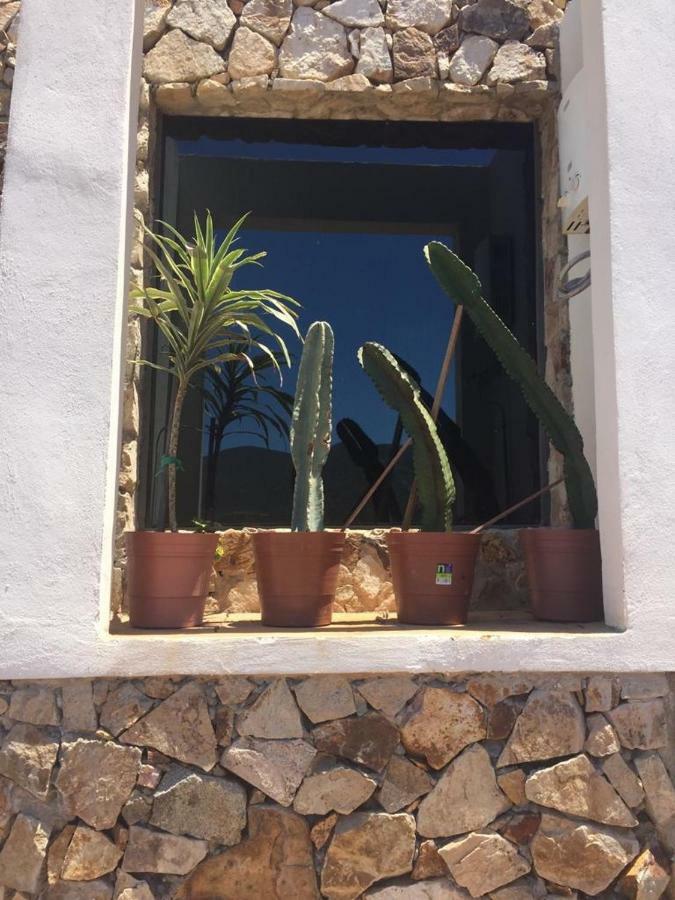 Chalet Nativo - Fabulous Terrace & Vineyard Valle de Guadalupe Exterior photo